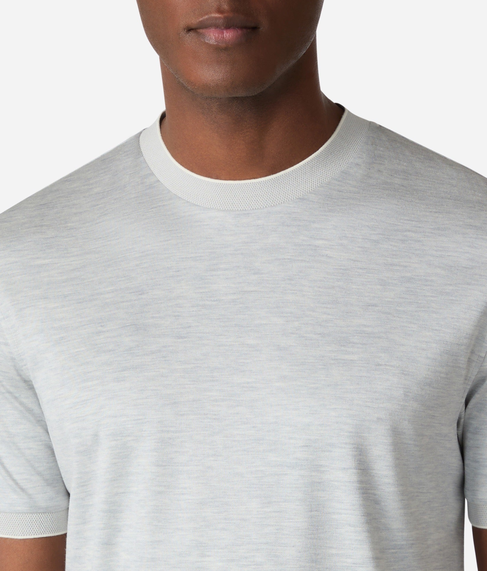 Brett Johnson SILK AND COTTON SHORT SLEEVES T-SHIRT — back view